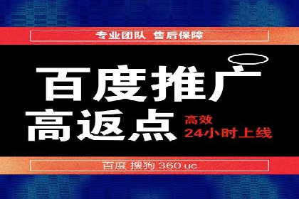 百度SEO推广公司案例精选：揭秘优化策略